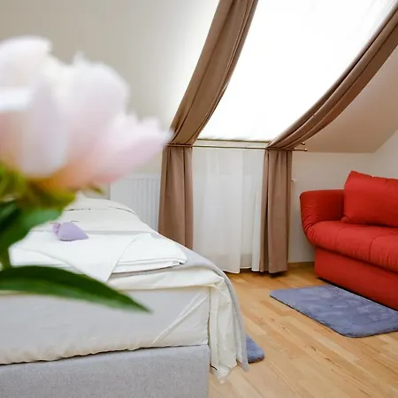 Guest house Barkoscinege Vendeghaz Geberjen